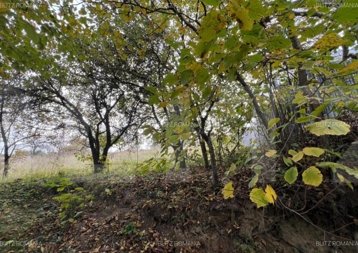 Teren spre vanzare pentru constructie casa in Feleacu. - 2