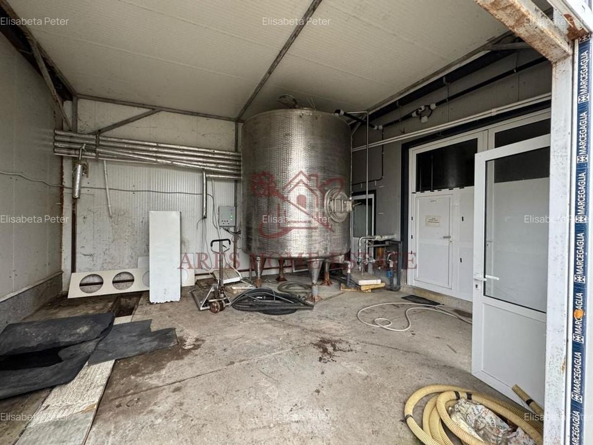 Spațiu industrial, 1200 mp în Bucovăț (Remetea Mare) - 10