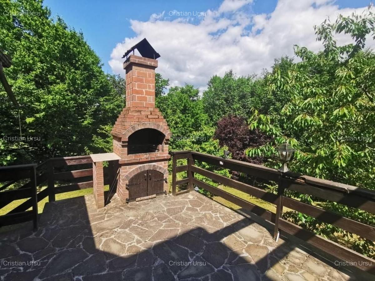 Casa de vacanta deosebita Breaza- Nistoresti - 13