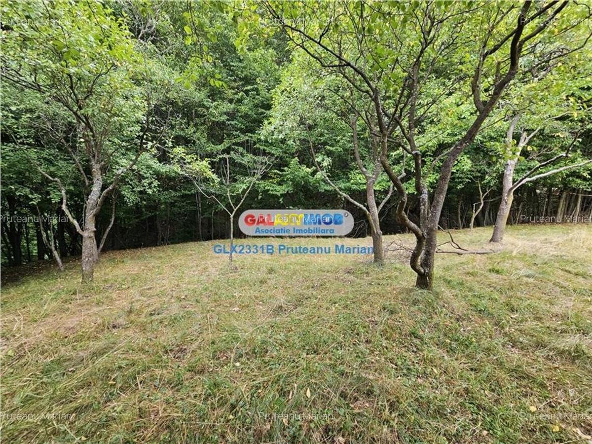 Vanzare teren 2680 m situat la Curtea de Arges cu iesire spre Transfag - 15