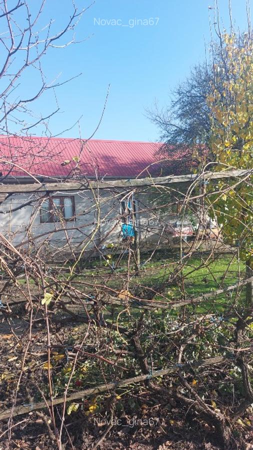 Vand casa loc.Platonesti, Jud.Ialomita - 4