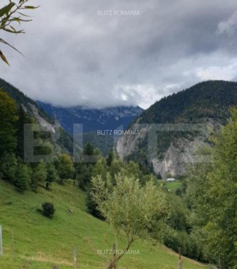 Teren 13.570 mp, Moieciu Pestera - 25