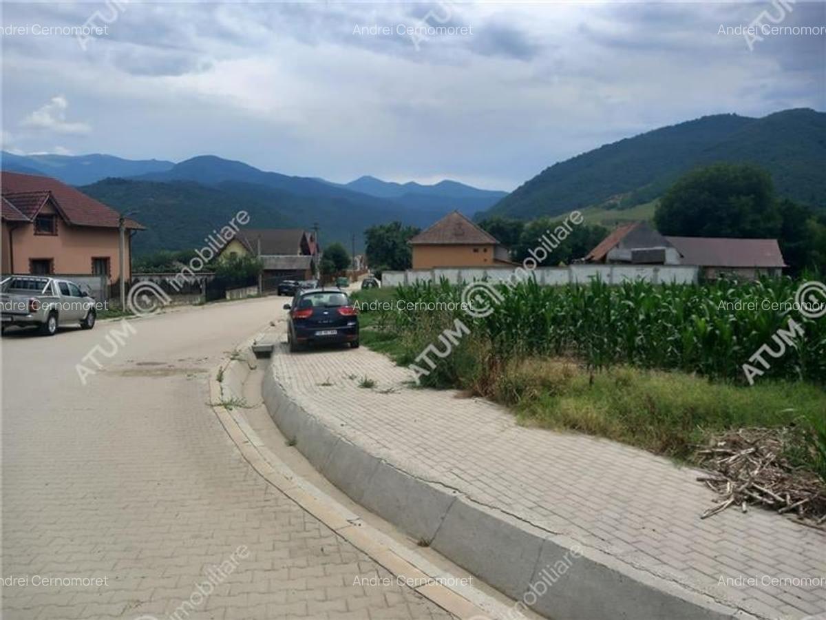 De vanzare 733 mp in Boita Sibiu - 1