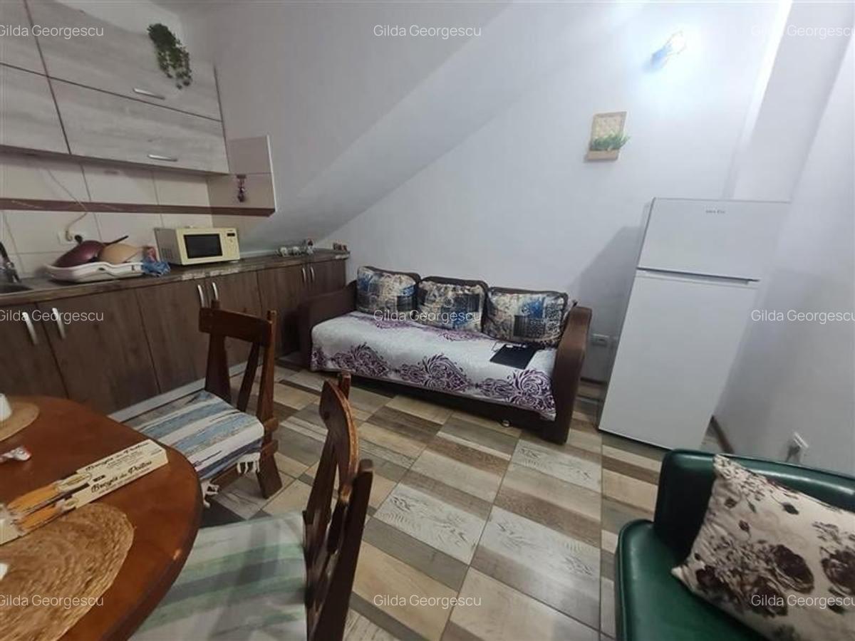 Proprietate cu 3 corpuri, curte individula, potential regim hotelier, Craiter, B - 2