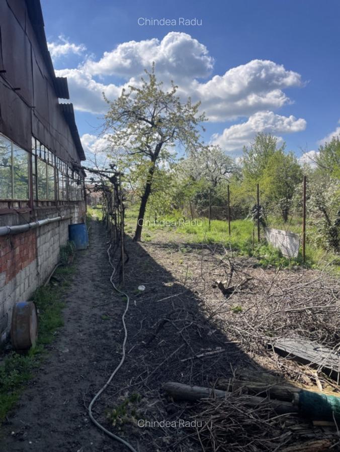 Casa in Timisoara cu 4 apartamente, 440mp teren propriu - 6