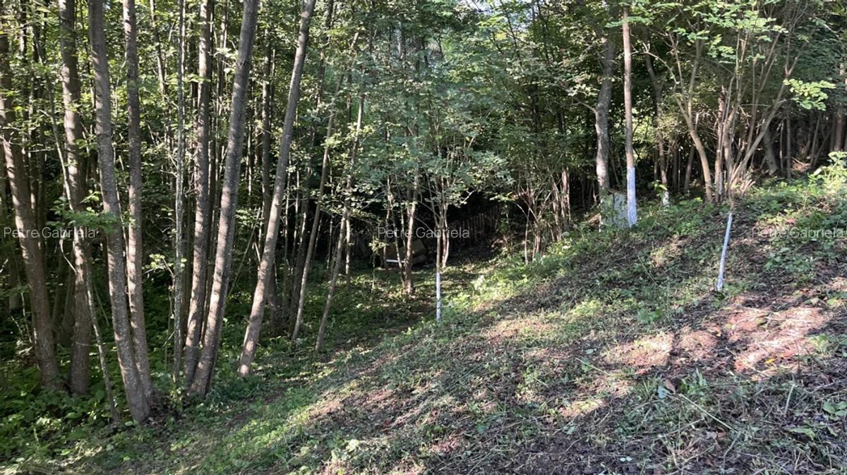 Casa situata intr-o zona superba - 10