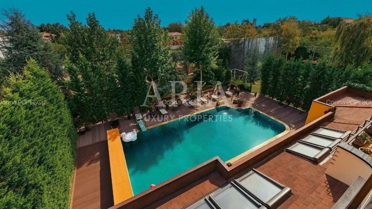 Vila grandioasa, Gradina Japoneza, SPA, Crama, Teren Tenis, Foisor, Iaz Pesti - 3