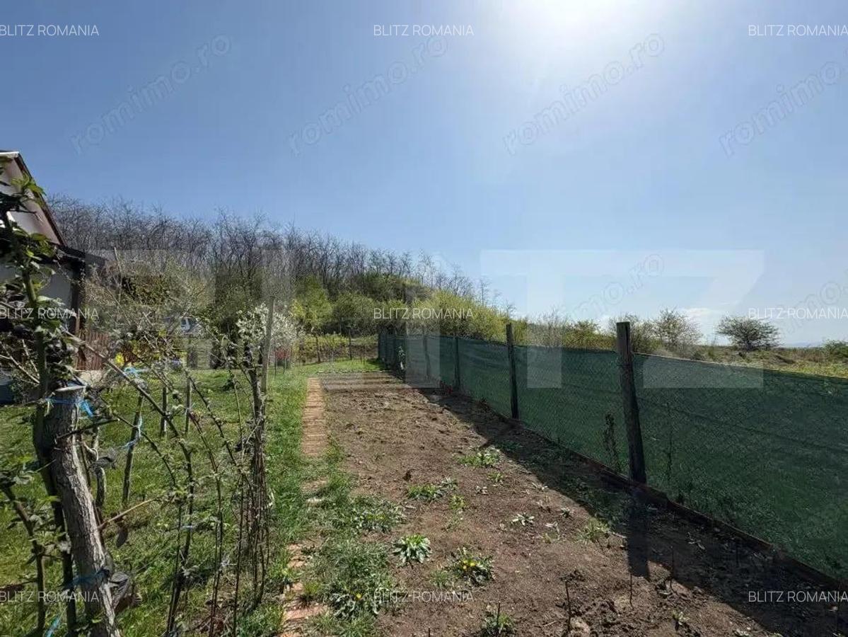 Casa de vacanta zona Ciugud - 6