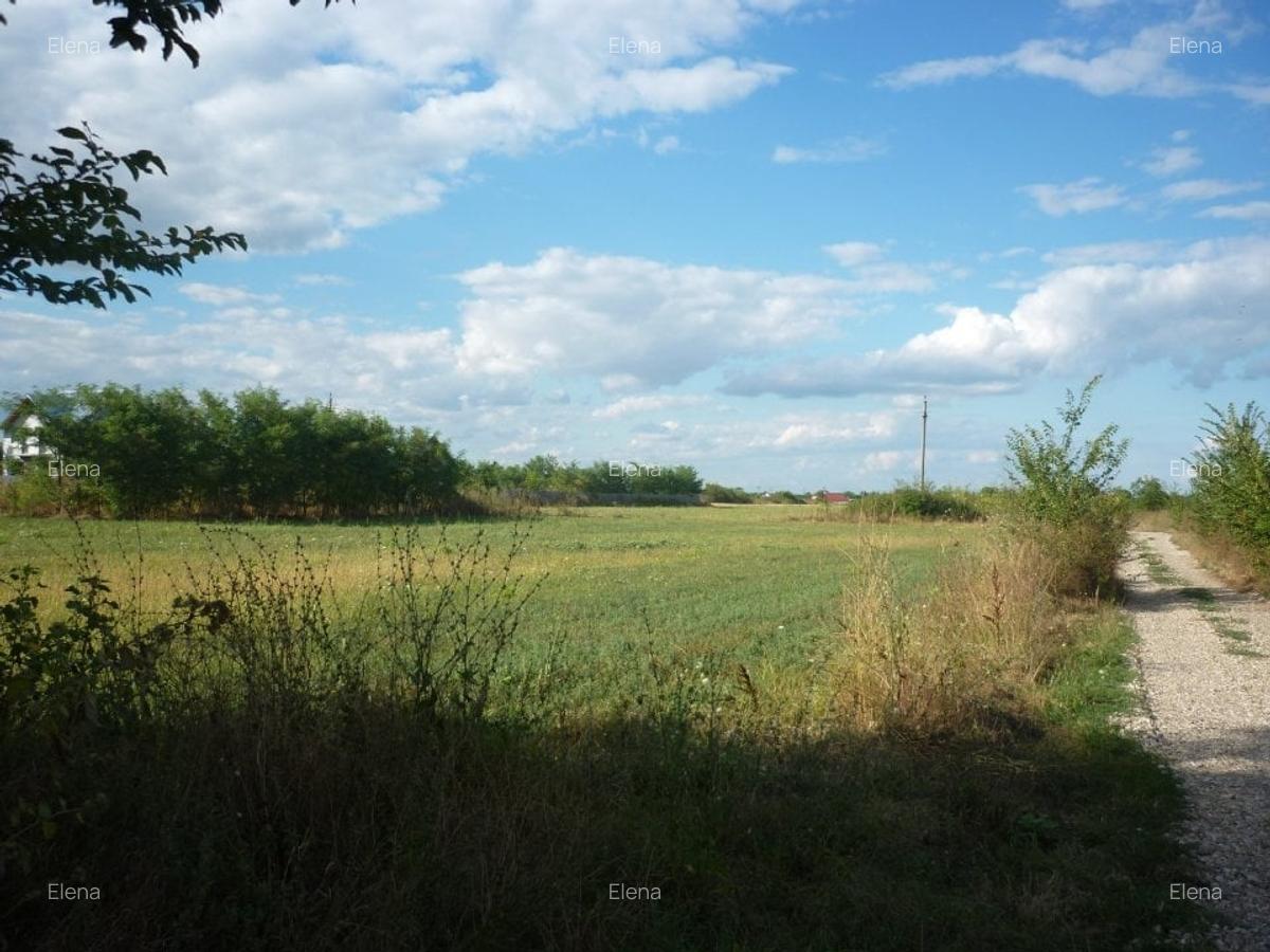 Teren 5000 mp,Niculesti –Peris –Ilfov - 1