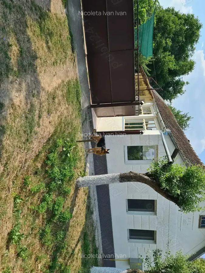 Casa 4 camere comuna Vinga - 1