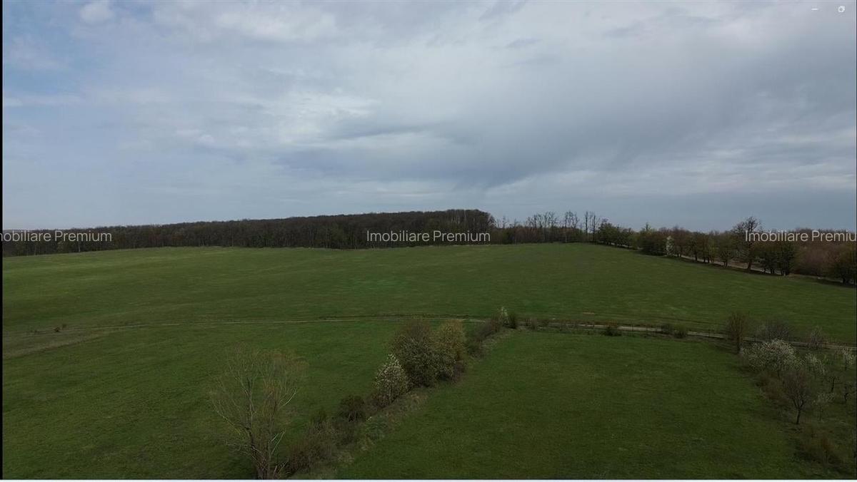Teren intravilan 5800 mp Mitocasi - Suceava! - 3