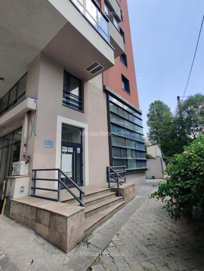 Spatiu de retail cu multiple functiuni in zona Titulescu - Banu Manta - 4 Spatiu de retail cu multiple functiuni in zona Titulescu - Banu Manta - 4