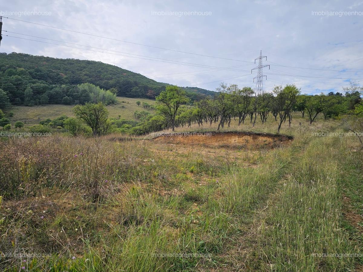 Teren Exclusivist cu vedere Panoramica - 6