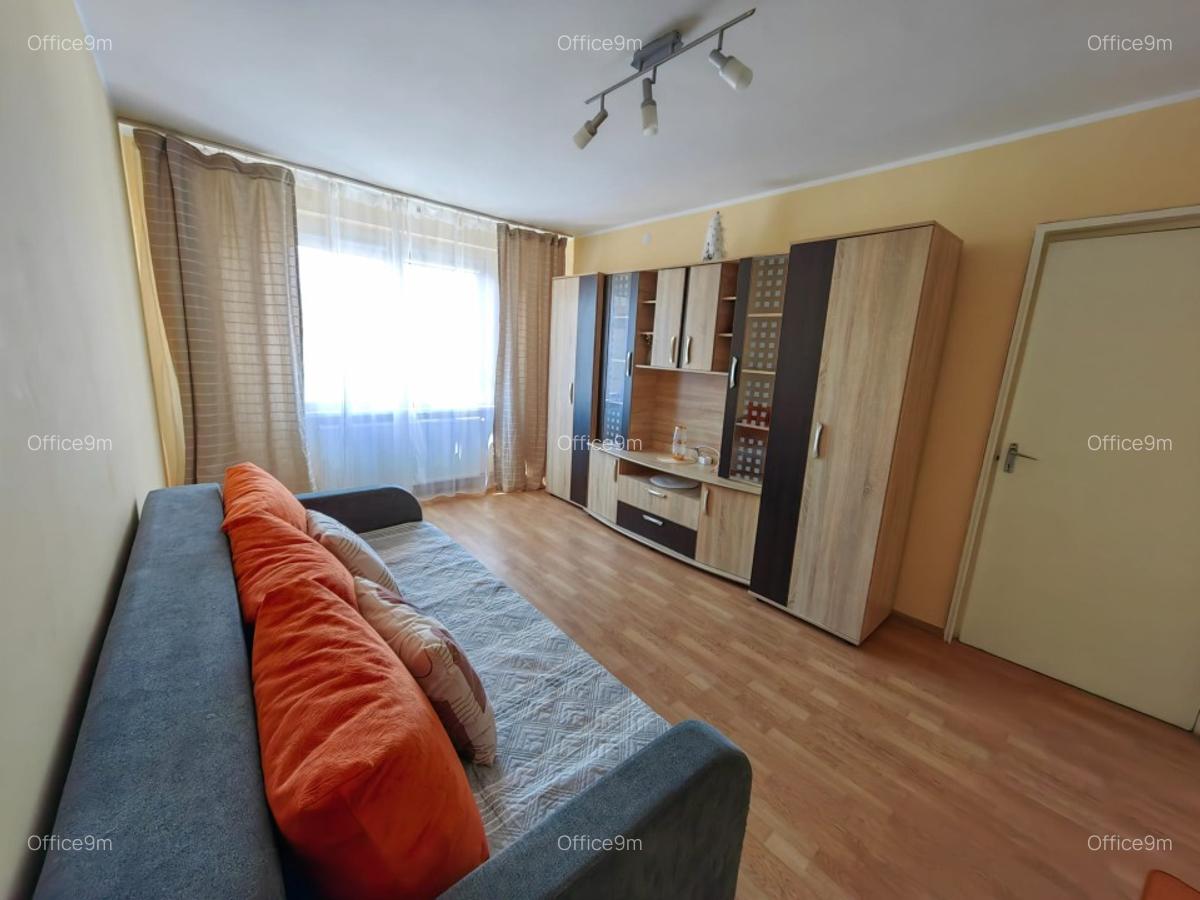 Griviței - Mega Image - apartament 2 camere - se acceptă pisic - 4