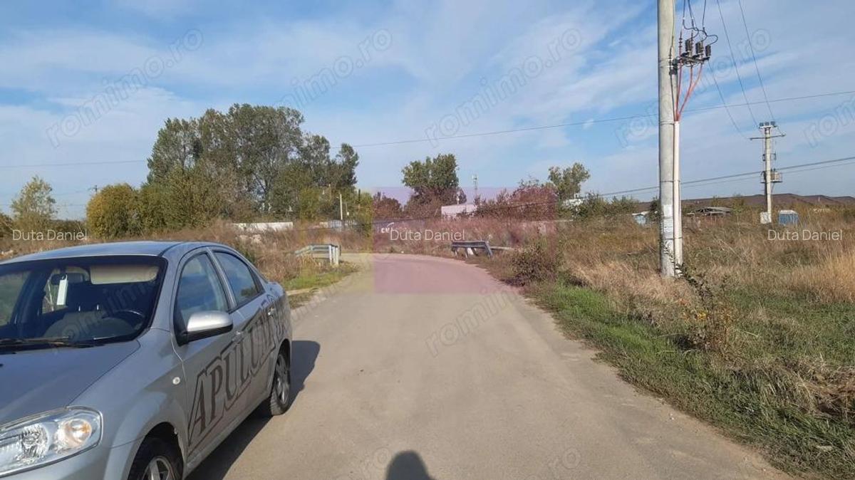 Teren la Asfalt cu utilita?i alaturi (Curent & Gaz) langa Bucure?ti - 19