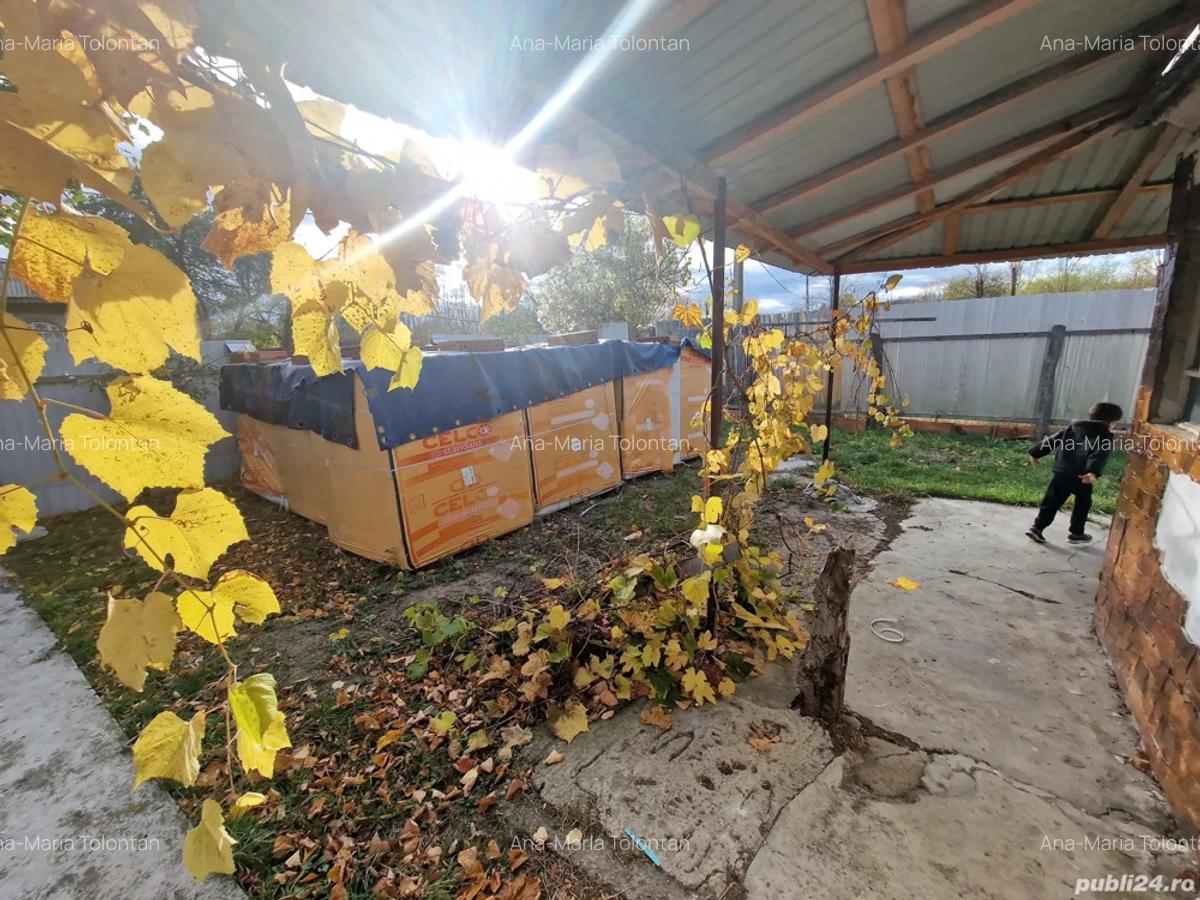 Casa batranesca de vanzare - 5