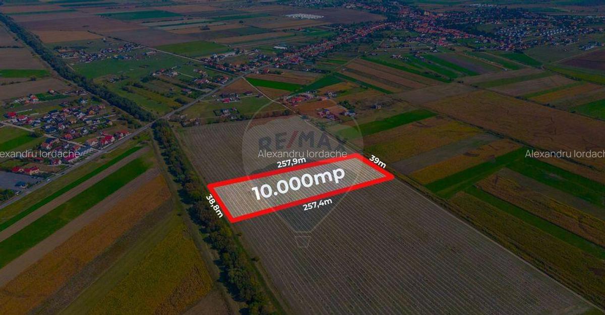 Teren 10,000mp Bod/Extravilan - 5