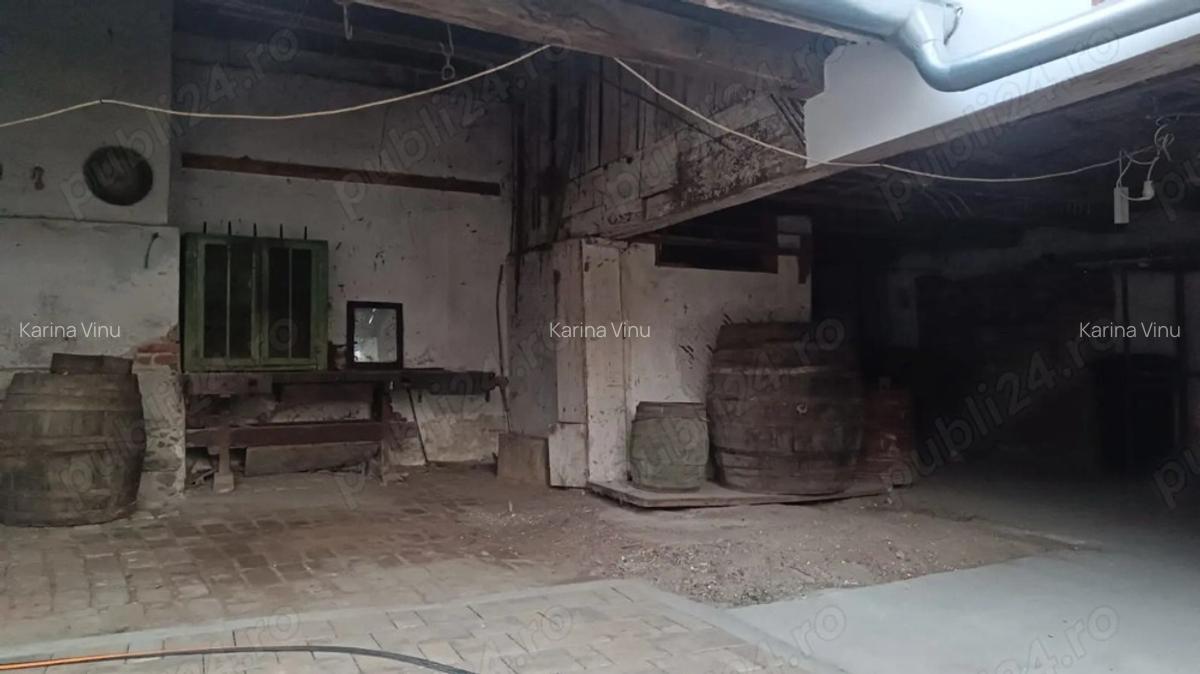 Casa de vanzare Bozovici - 10