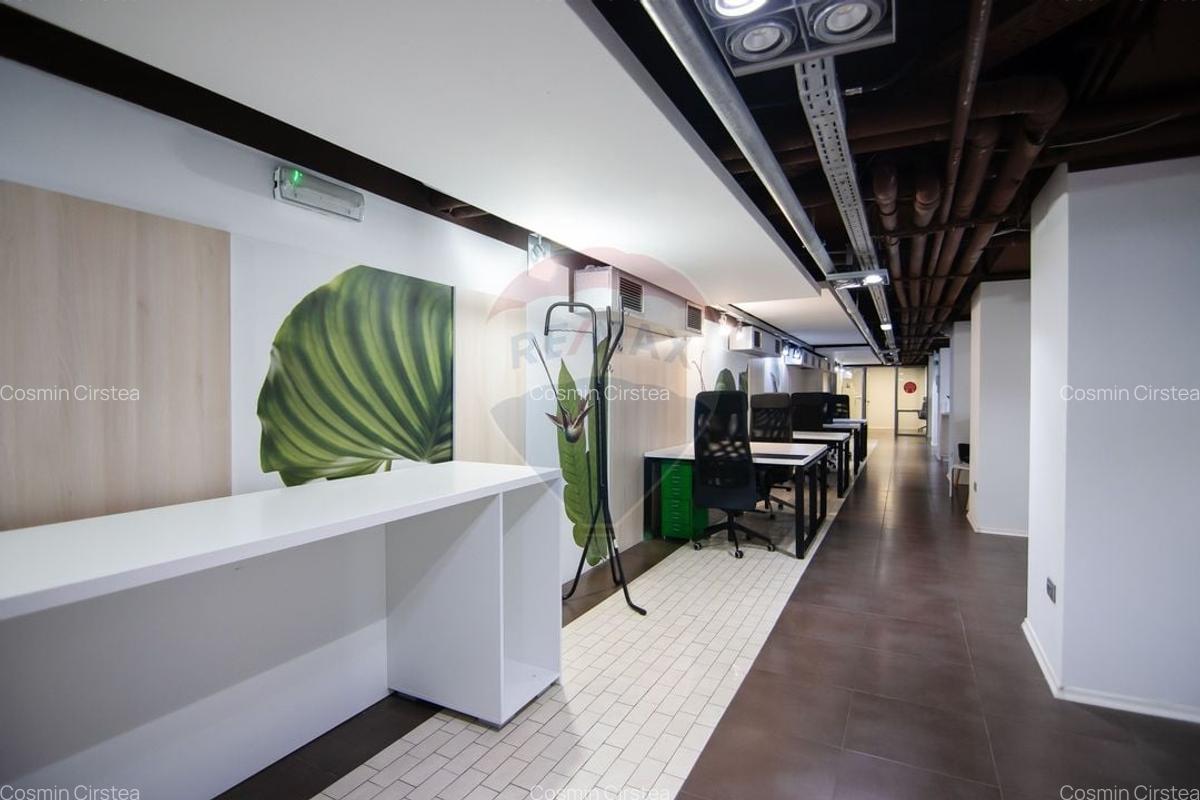 Spațiu comercial, 475 mp în Kiseleff - 5