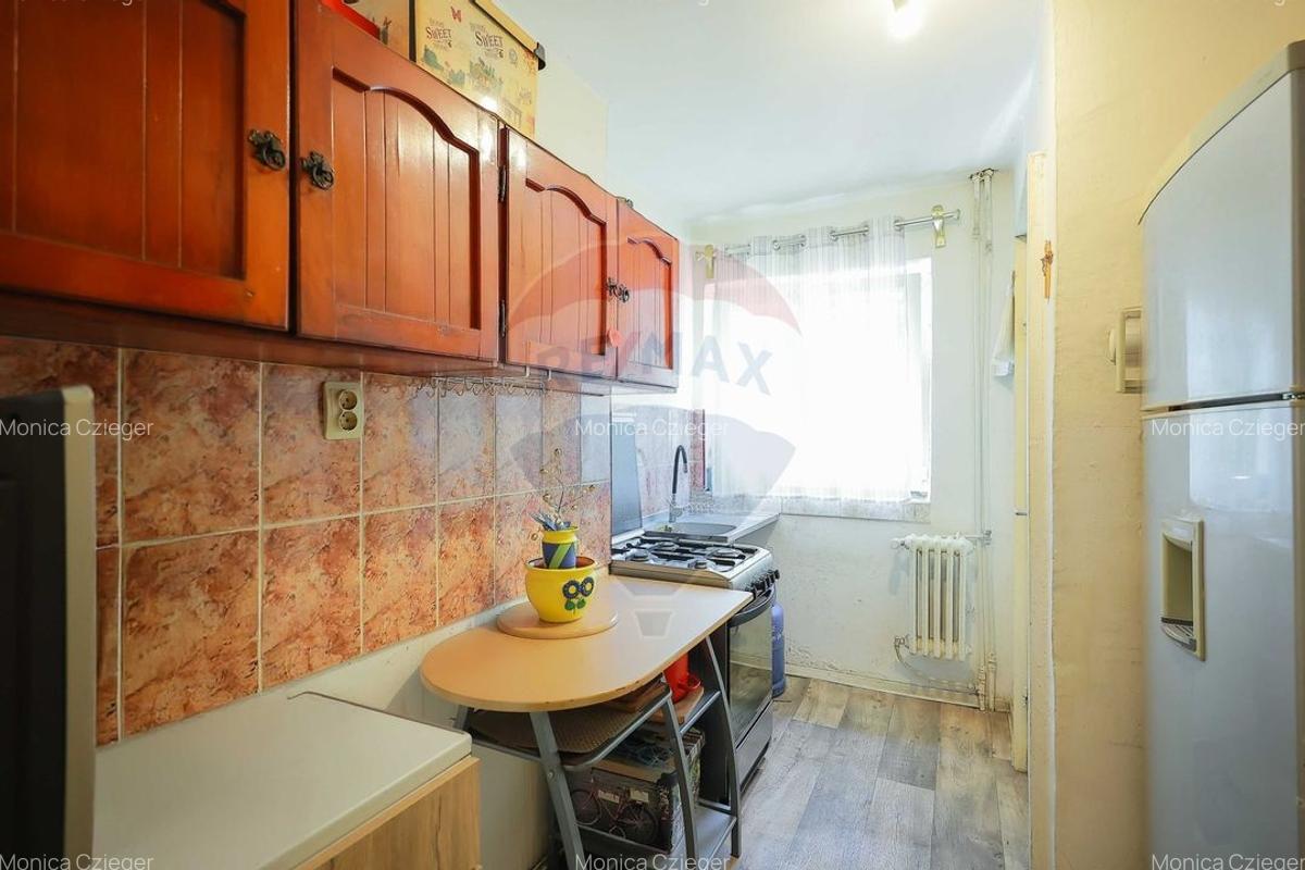 Apartament cu 3 camere semidecomandat, mobilat în Nufărul - 8