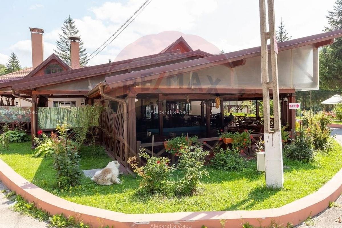 Oportunitate rara in Romania! Complex turistic Poiana Sarata si padure - 16