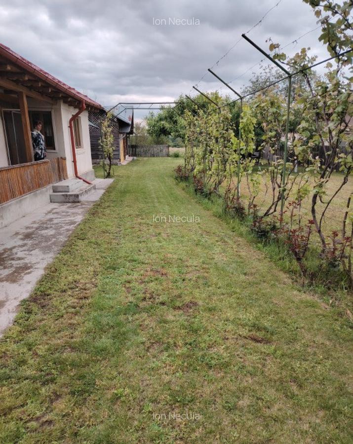 Casa + teren de vanzare | 3200mp | Crivatu, Cornesti, Dambovita - 5