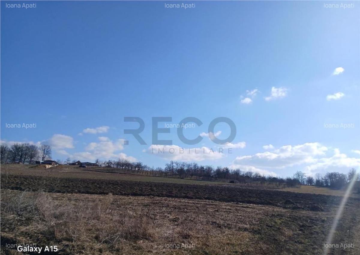 RECO teren Mierlau - 2