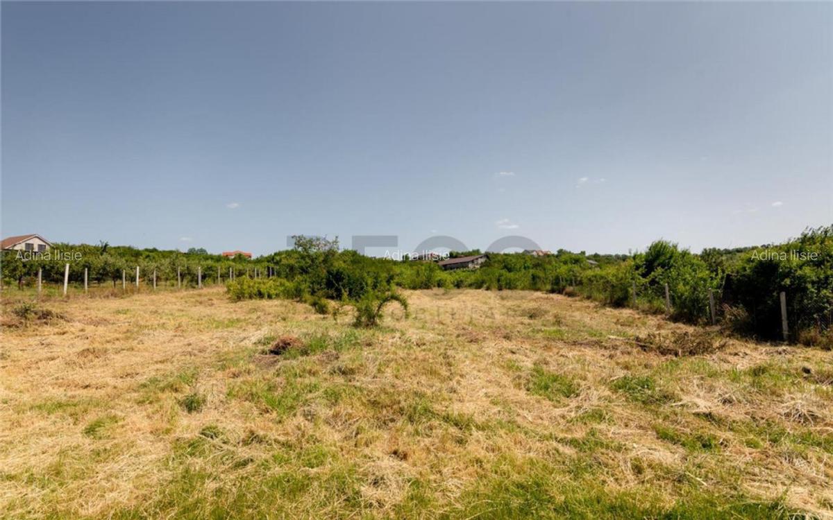 RECO Teren intravilan 1200 mp- front 30ml ,cu utilitati, Pa - 14