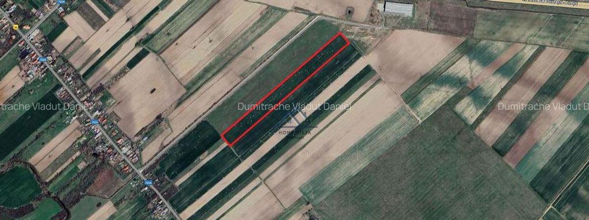 Teren agricol extravilan Rate?ti, Arge? - 6