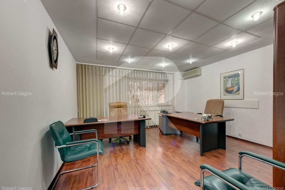 Birou premium pe Șos. Panduri - 11