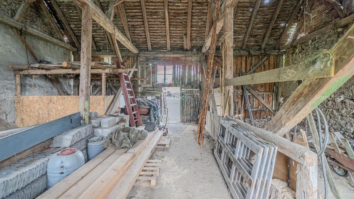 Comision 0 | Casa cu 3 camere, teren 1541 mp, livada, beci si garaj - 23