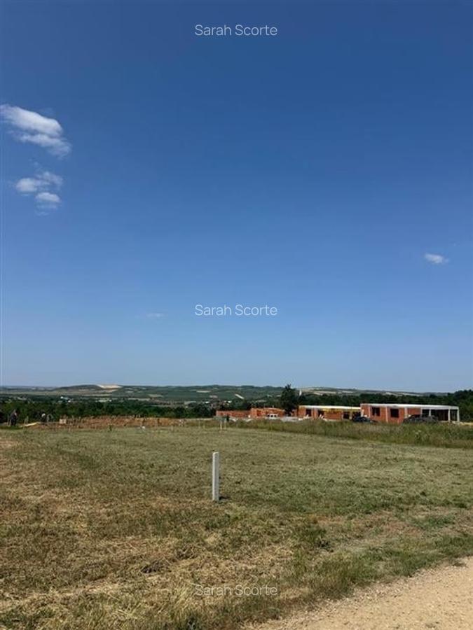 Teren Construcții intravilan de 550 mp, în Paleu - 2