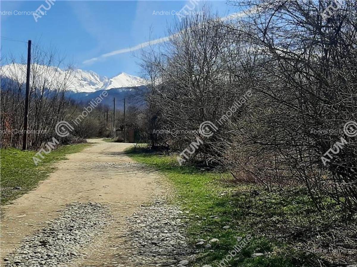 Teren intravilan 2600 mp de vanzare pe Valea Avrigului - 4