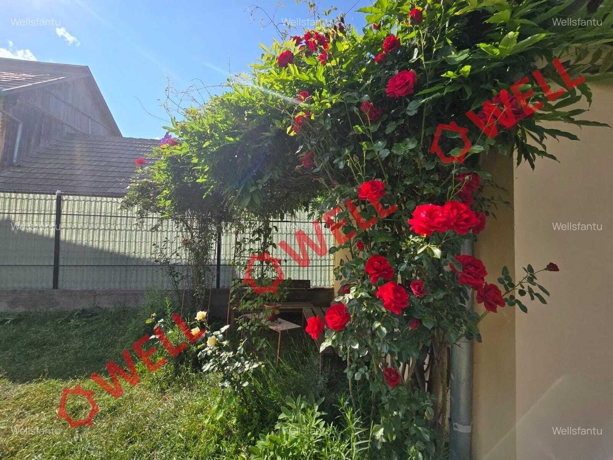 De vânzare casă familială în loc. Întorsura Buzăului, sat Floroaia! - 23