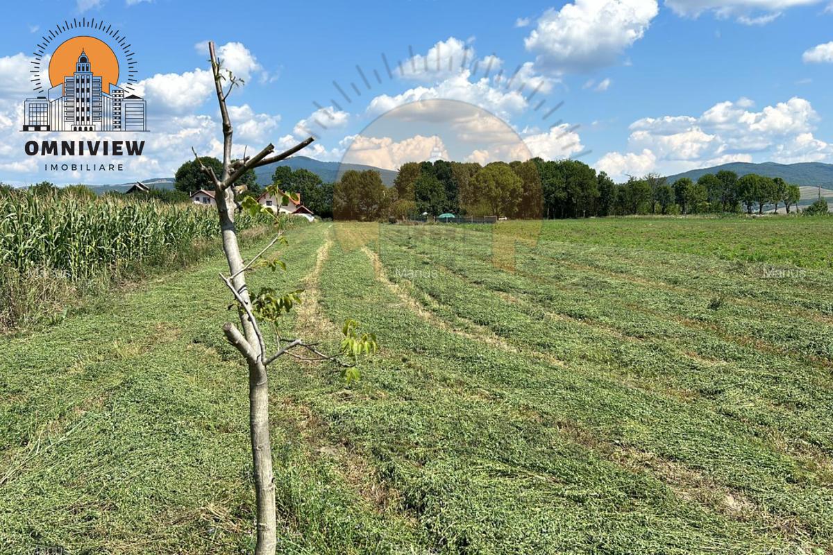 Teren 3.600 mp de Vânzare în Stupinii Prejmerului – Utilități Disponibile - 3