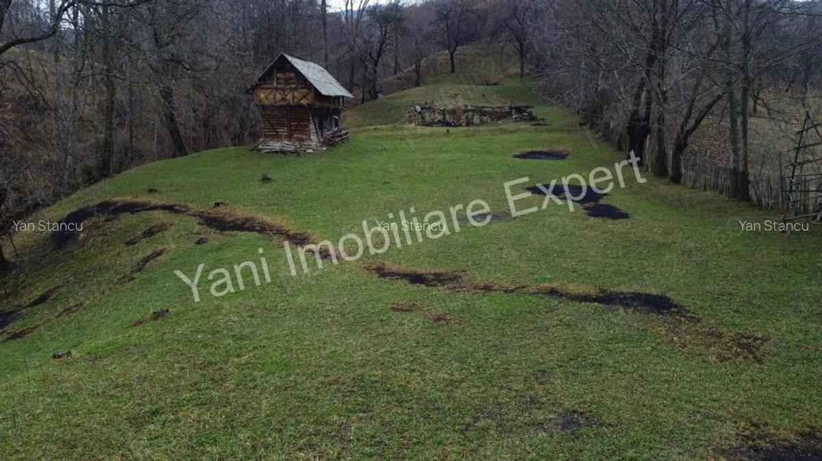 Teren de vanzare in comuna Arefu, jude? Arge?. - 2