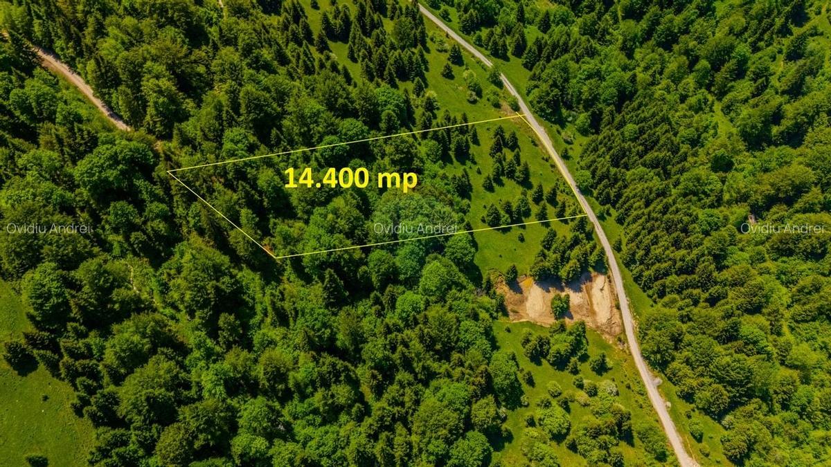 Teren extravlan 14,400mp Paraul Rece / Strada 3 brazi - 5