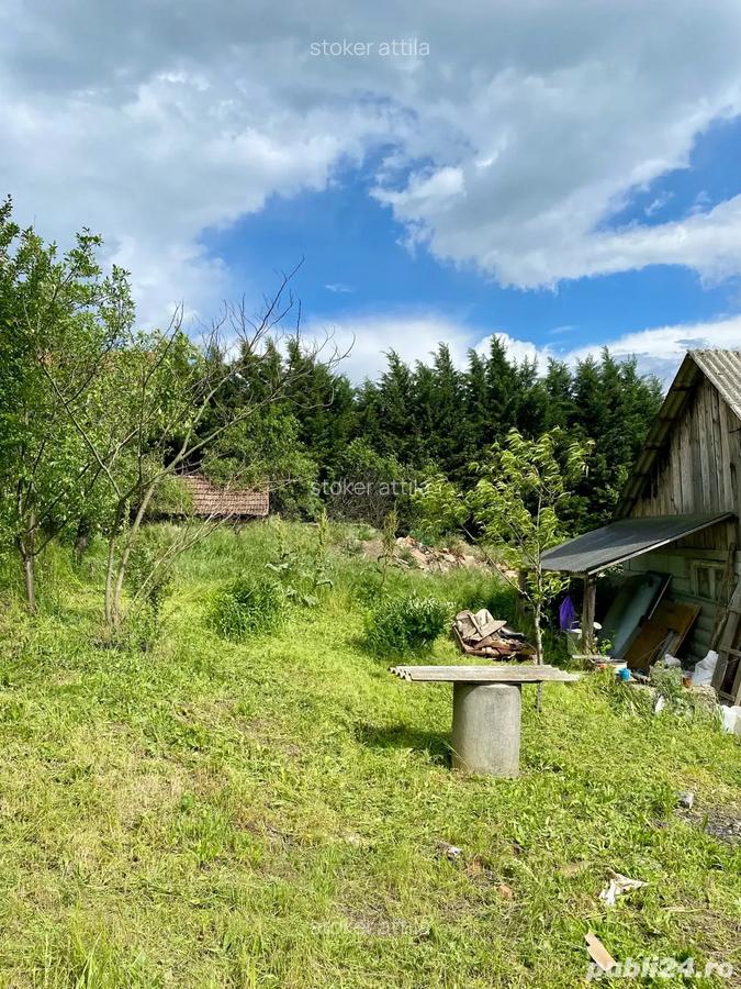 VAND teren cu casa intravilan aproape de oradea in Uileacu De Munte - 7