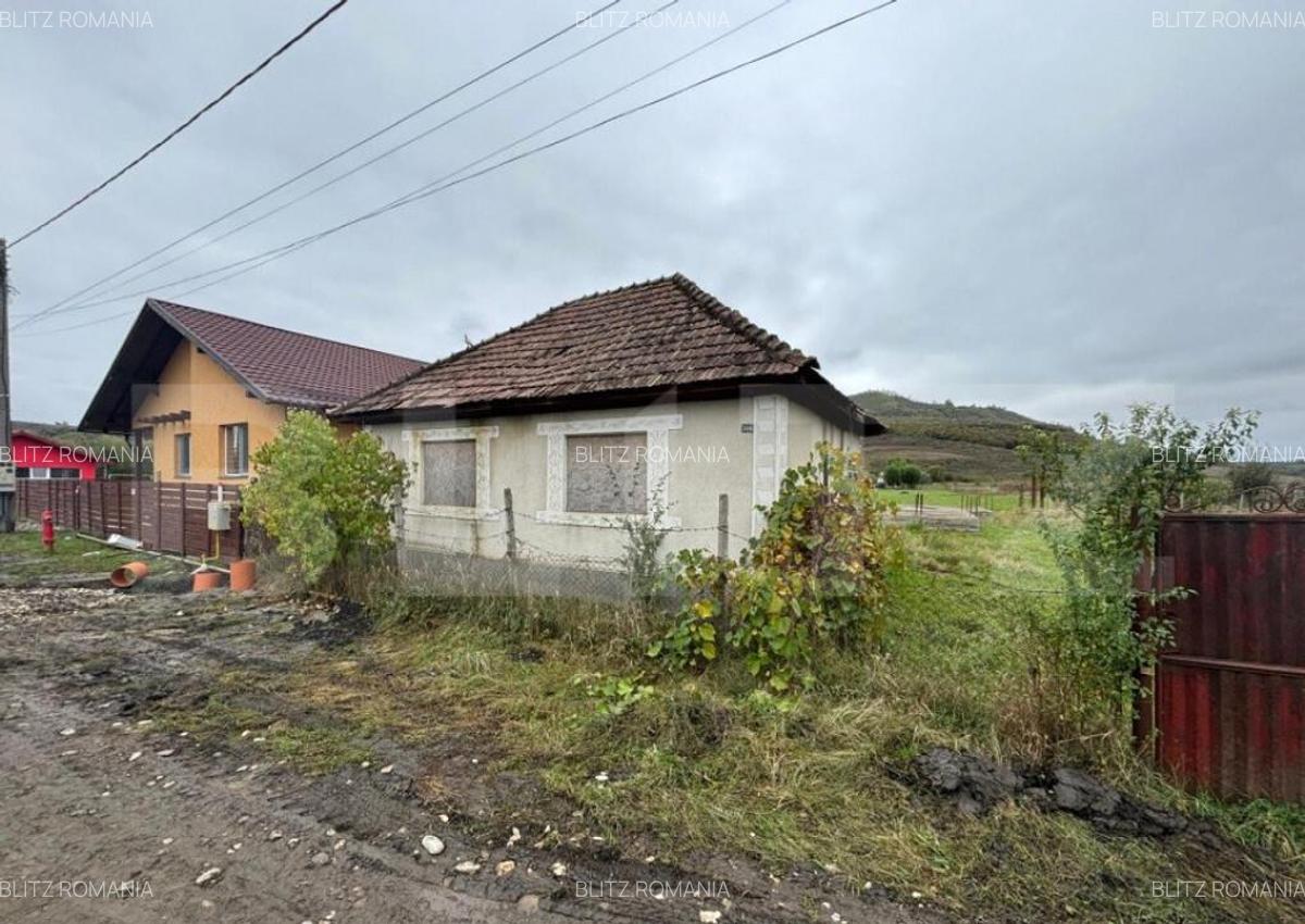 Teren 4000 mp,autorizatie de constructie Lechinta - 13