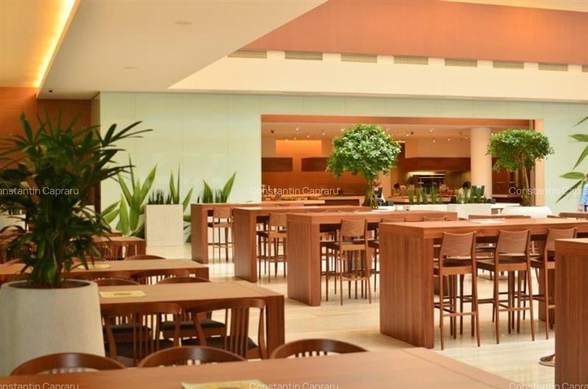 Spațiu comercial, 405 mp în Băneasa - 4