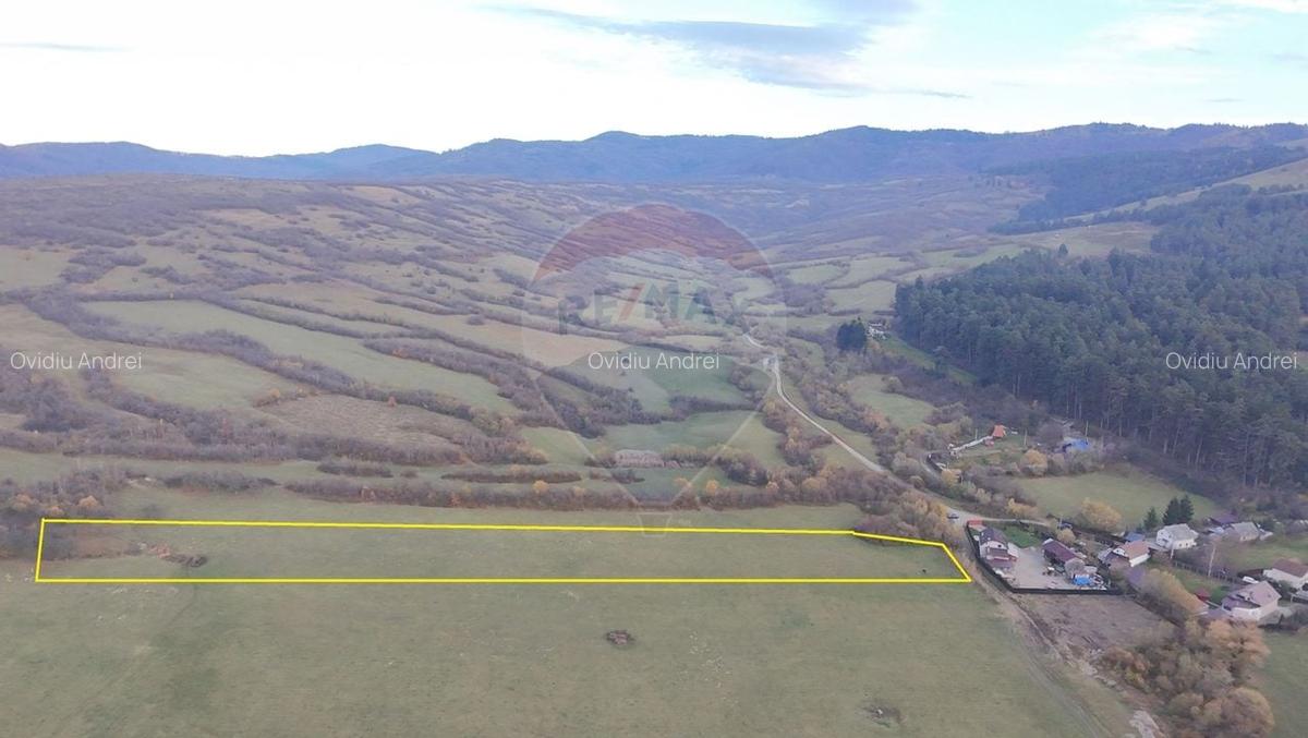 Teren 5.800 mp Purcareni curent, gaz, apa / Strada 30 decembrie - 4