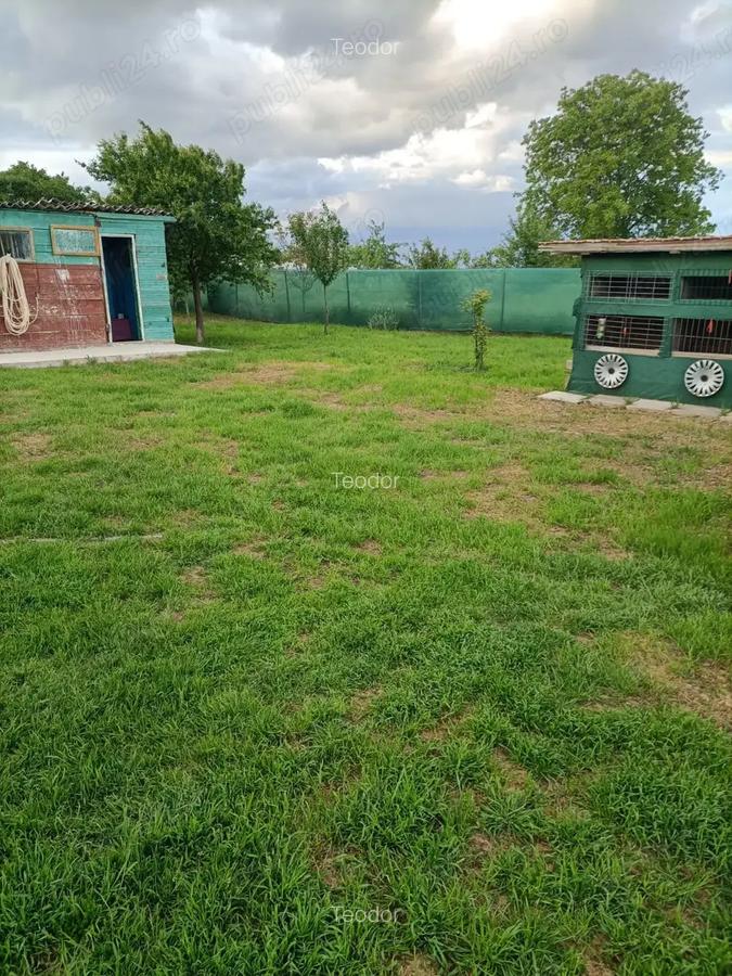 Vand casa in Barsanesti, judetul Botosani, teren 3868 mp - 9