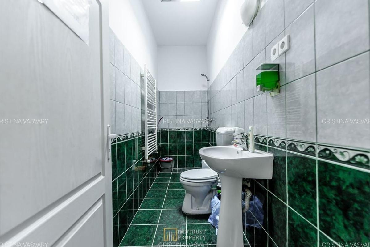 De vanzare casa ultracentrala- Str. Augustin Doinas, Arad | 98 mp - 6