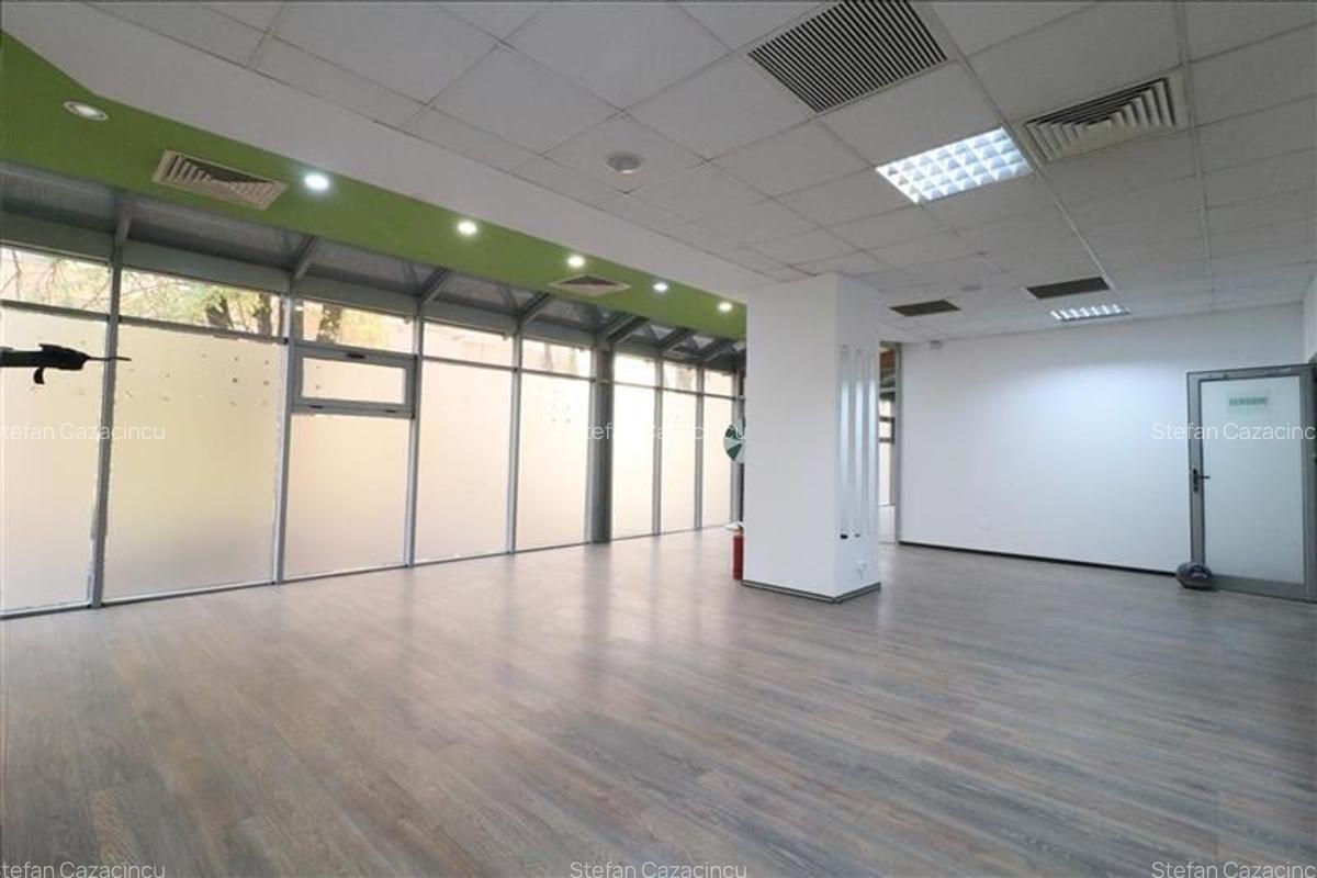 De Inchiriat Spatiu Comercial Nicolina 330 mp - 4