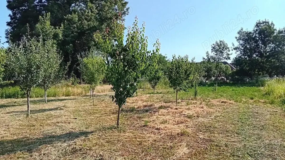 Vanzare proprietate - 4