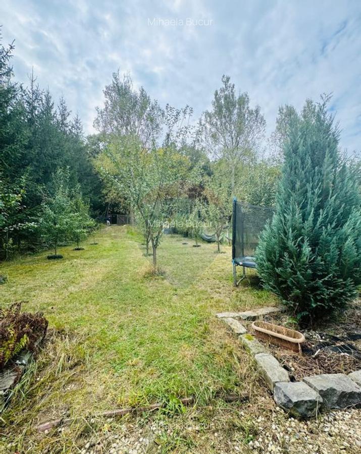 Teren Drumul Buzdului cu o cabana mica - 7