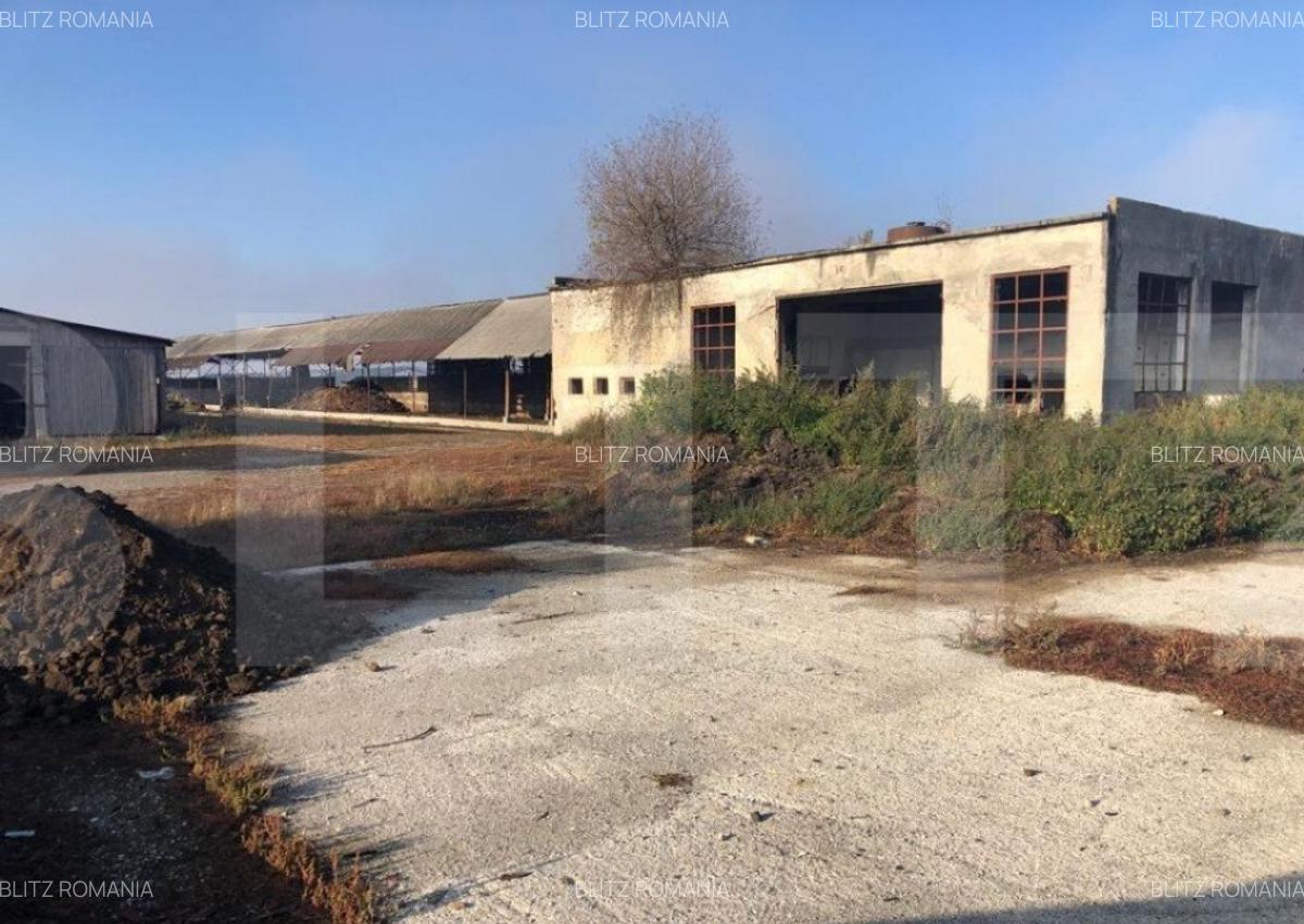 Ferma de vanzare in jud. Covasna, suprafata teren 4824 mp - 4 Ferma de vanzare in jud. Covasna, suprafata teren 4824 mp - 4