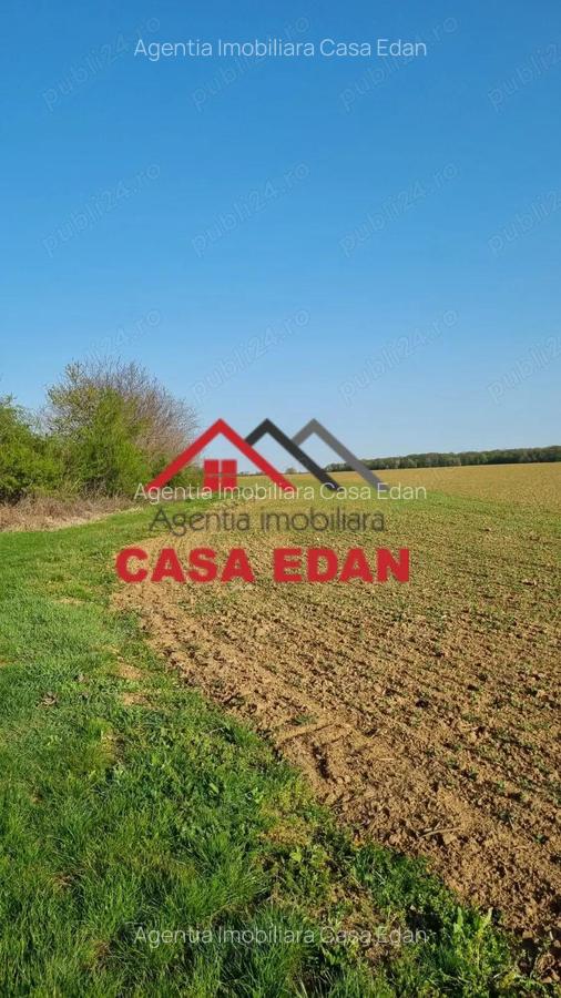 Teren extravilan in Urleta--5000m--18.500e - 6