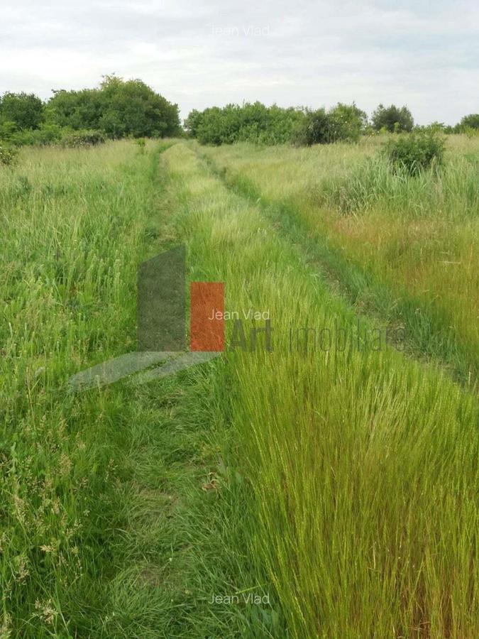 Teren Buftea cu iesire la lac - 3