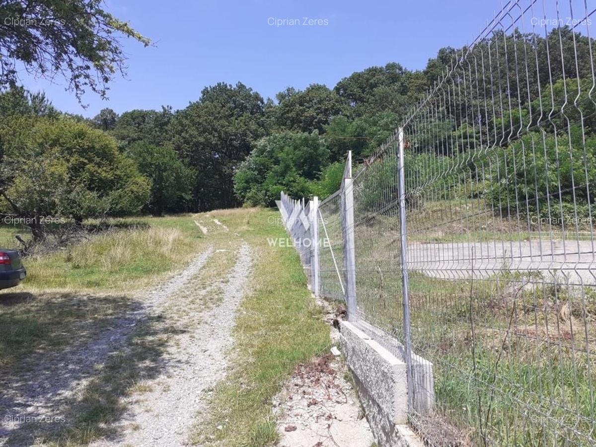 Teren intravilan constructii  - Cisnadioara - Sibiu - 5